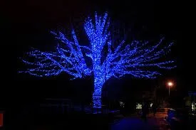 Top-rated landscape design in Mankato, MN - Genesis Outdoor & Construction