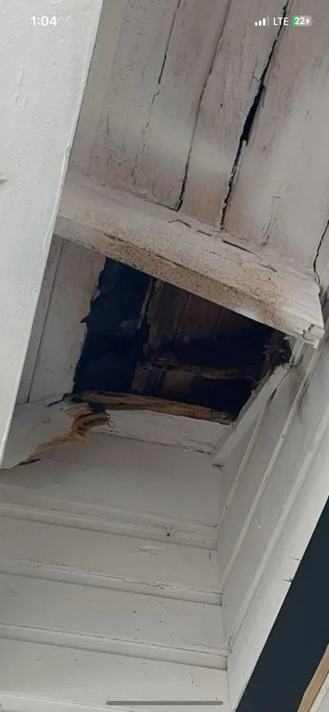 Affordable yard maintenance for homes across Farmerville, LA - Genesis Roofing & Remodeling