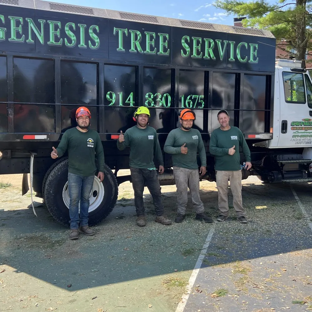 Trusted yard maintenance in White Plains, NY - Genesis Tree Service & Landscaping