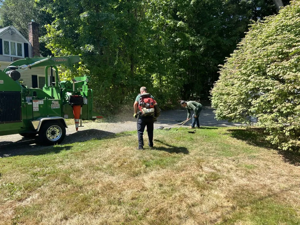 Custom yard maintenance experts serving White Plains, NY - Genesis Tree Service & Landscaping