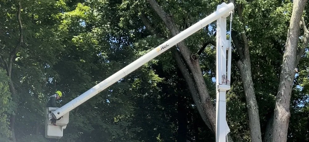 Affordable landscaping services in White Plains, NY by Genesis Tree Service & Landscaping