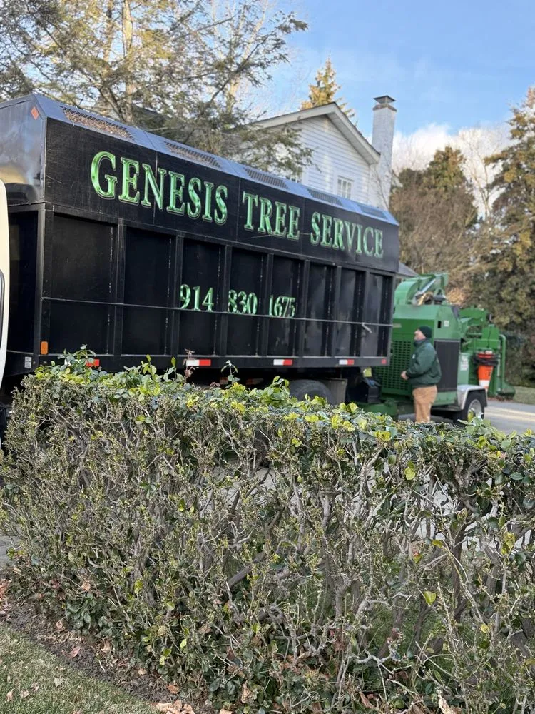 Custom residential landscaping in White Plains, NY - Genesis Tree Service & Landscaping