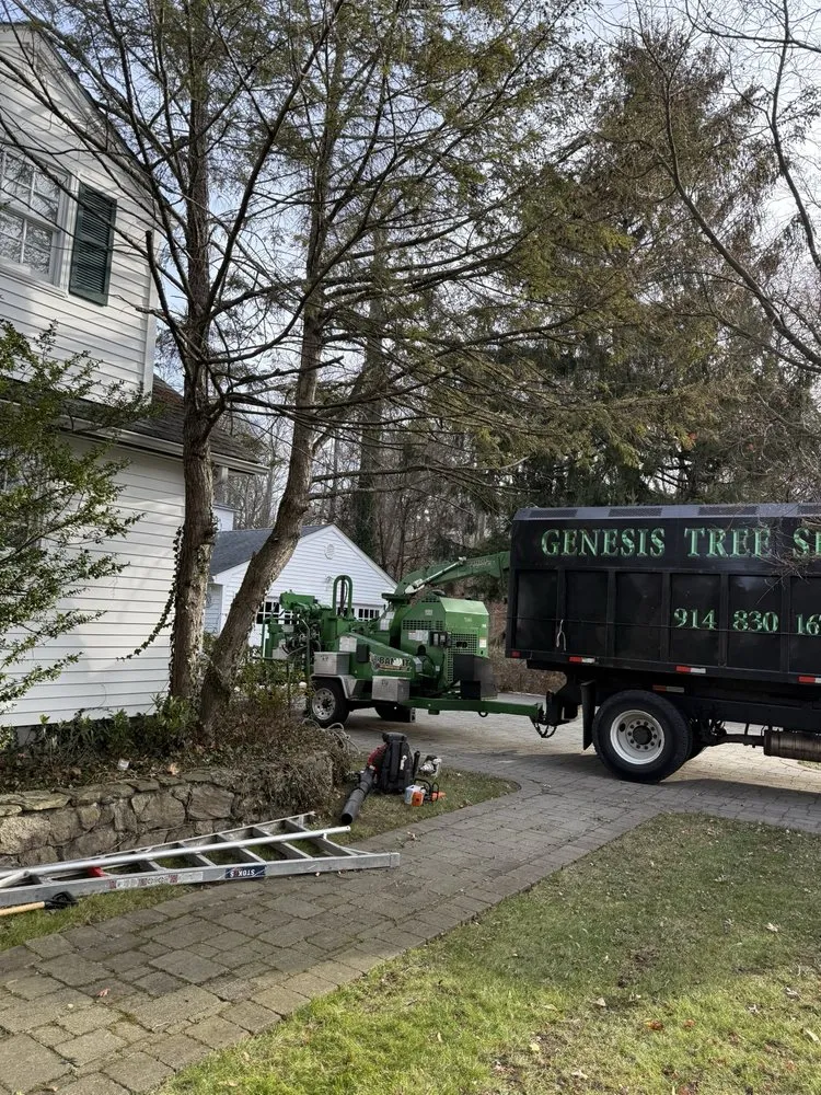 Custom yard cleanup service in White Plains, NY by Genesis Tree Service & Landscaping