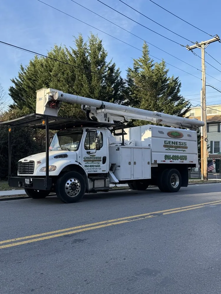 Reliable yard maintenance for residential properties in White Plains, NY by Genesis Tree Service & Landscaping