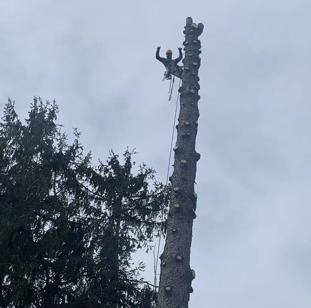 Affordable landscape installation for outdoor upgrades in White Plains, NY by Genesis Tree Service & Landscaping