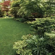 Expert outdoor landscaping in Gaithersburg, MD - Genesys Lawn and Garden