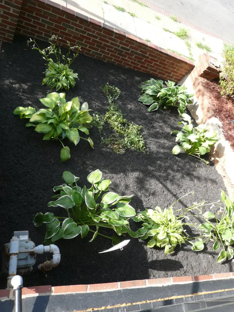 Local landscape design in Gaithersburg, MD by Genesys Lawn and Garden