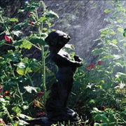 Trusted yard cleanup service in Gaithersburg, MD by Genesys Lawn and Garden