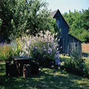 Custom garden landscaping experts serving Gaithersburg, MD - Genesys Lawn and Garden