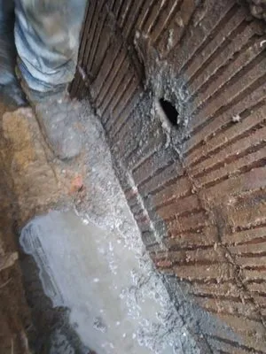 Genesys Lawn and Garden