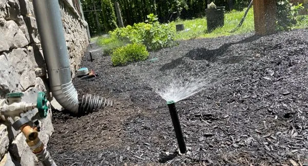 Geni landscaping Logo