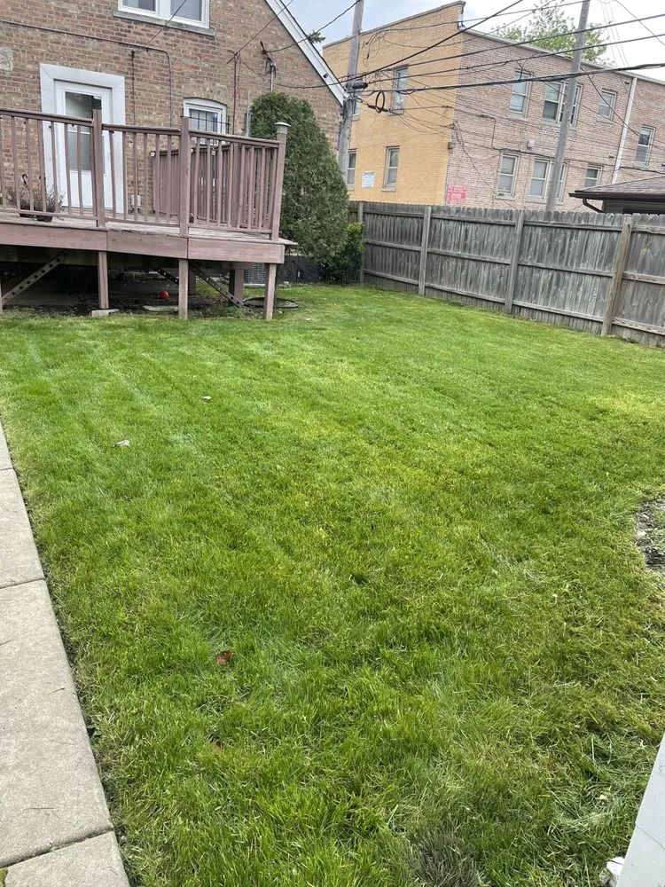 Reliable landscape installation for year-round maintenance across Chicago, IL - Genie Solutions Painting and Landscaping