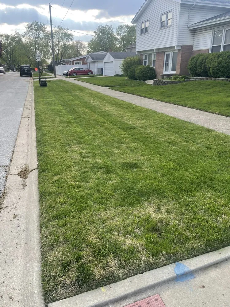 Reliable landscape installation for beautiful yards in Chicago, IL by Genie Solutions Painting and Landscaping