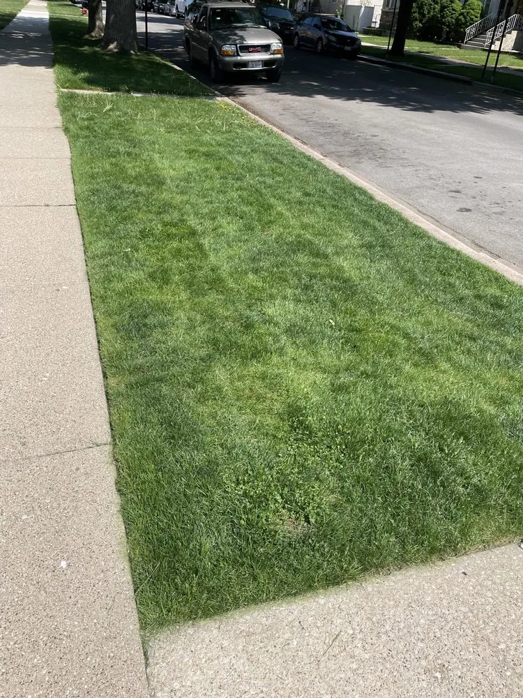 Expert outdoor landscaping experts serving Chicago, IL - Genie Solutions Painting and Landscaping