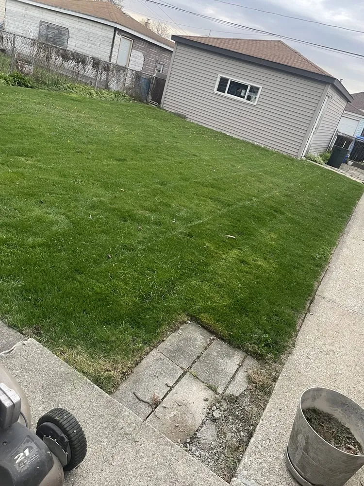Expert lawn care service for residential properties across Chicago, IL - Genie Solutions Painting and Landscaping