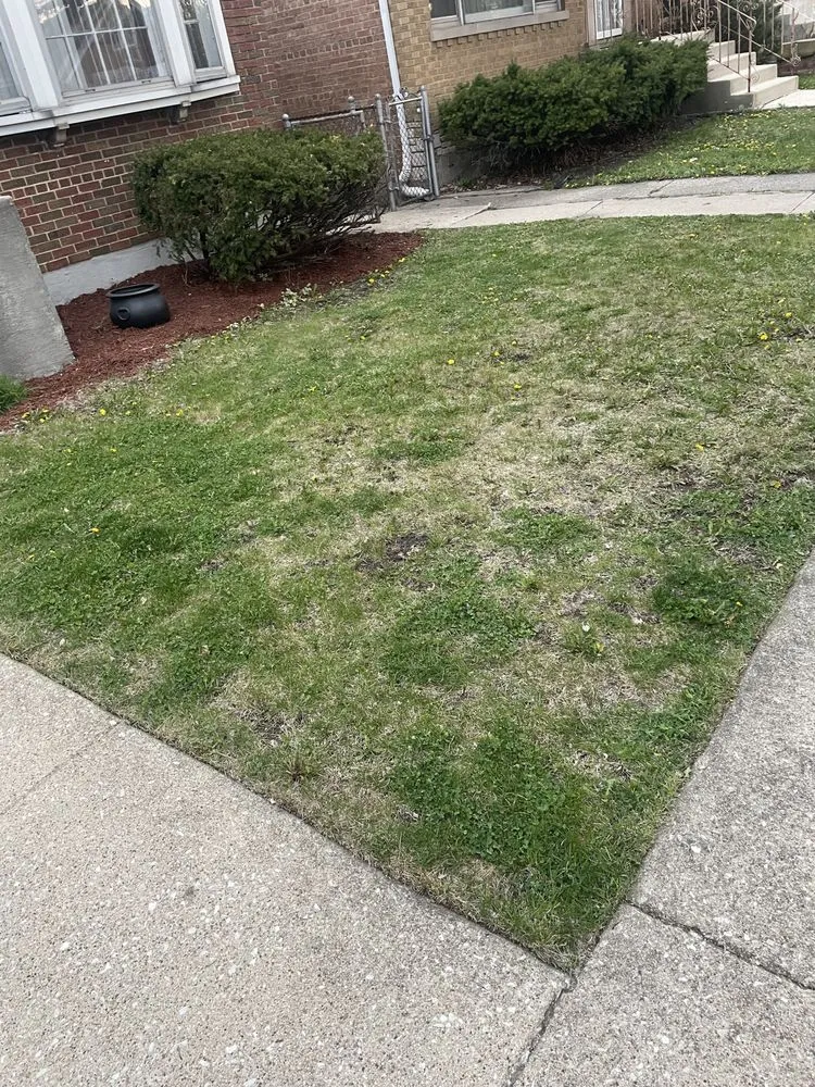 Trusted yard maintenance in Chicago, IL - Genie Solutions Painting and Landscaping