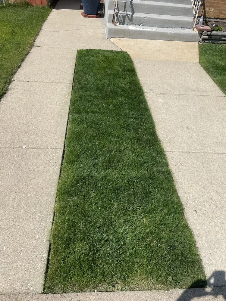 Trusted landscape installation near you in Chicago, IL by Genie Solutions Painting and Landscaping