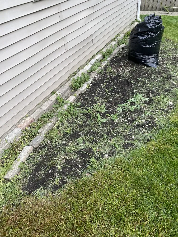 Trusted lawn mowing service experts serving Chicago, IL - Genie Solutions Painting and Landscaping