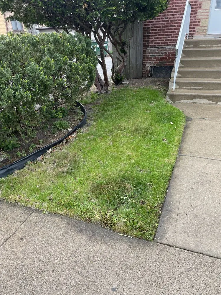 Reliable landscape design in Chicago, IL - Genie Solutions Painting and Landscaping