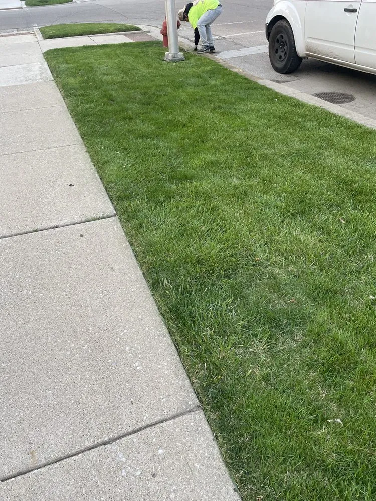 Affordable lawn care service for residential properties in Chicago, IL by Genie Solutions Painting and Landscaping
