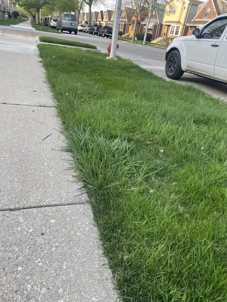 Expert yard cleanup service with custom design across Chicago, IL - Genie Solutions Painting and Landscaping