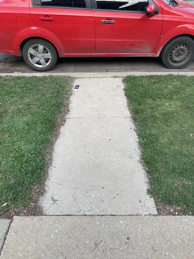 Affordable yard cleanup service with custom design across Chicago, IL - Genie Solutions Painting and Landscaping