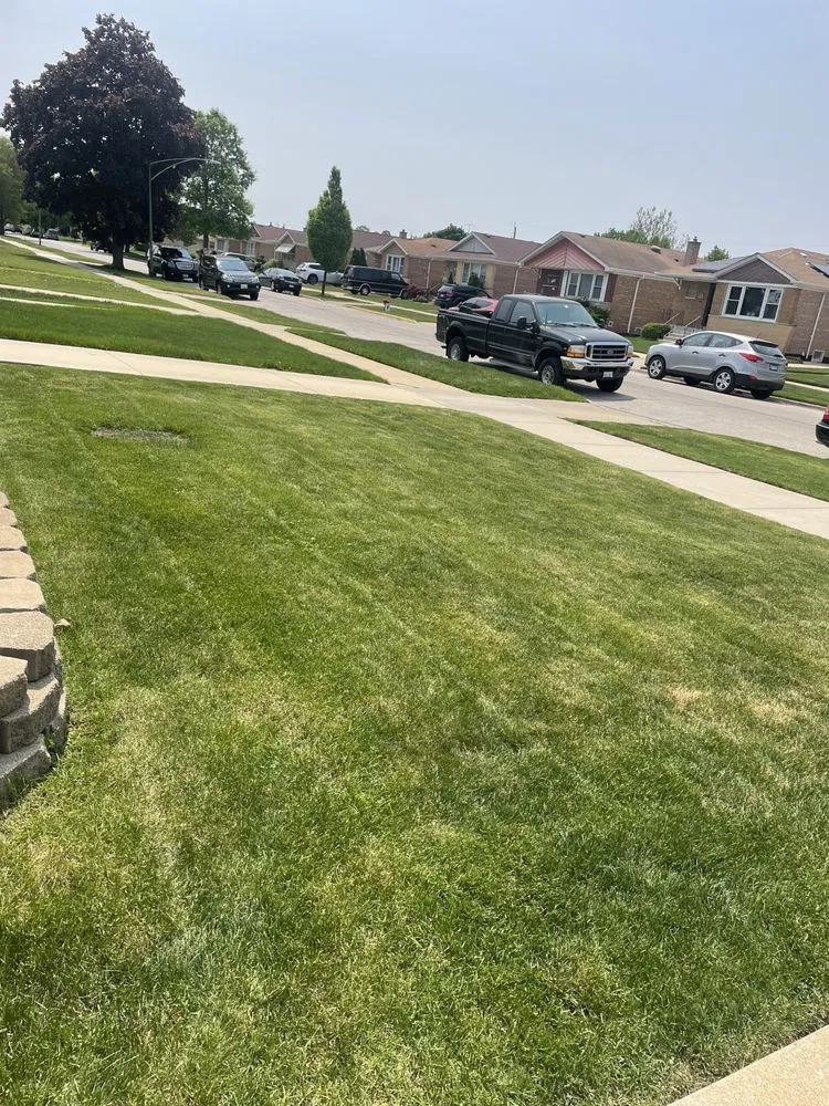 Top-rated lawn care service experts serving Chicago, IL - Genie Solutions Painting and Landscaping