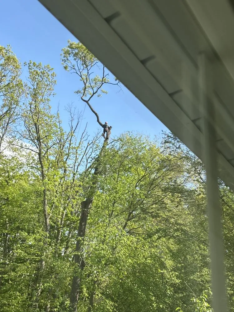 Top-rated outdoor landscaping in New Brunswick, NJ by Genie Tree Service