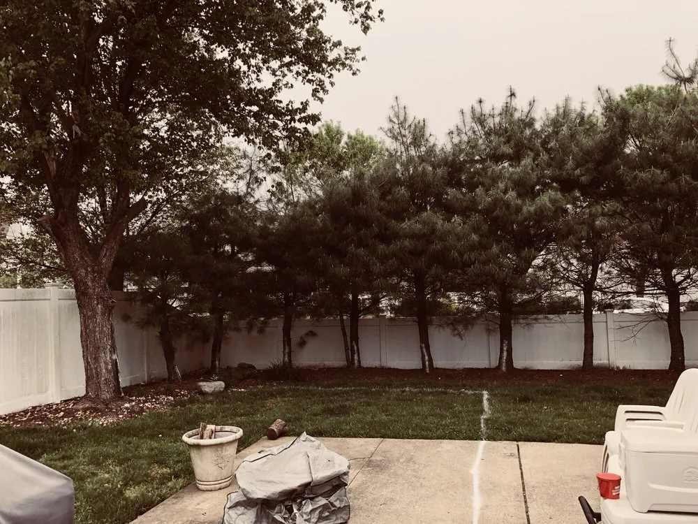 Top-rated landscaping services in New Brunswick, NJ by Genie Tree Service