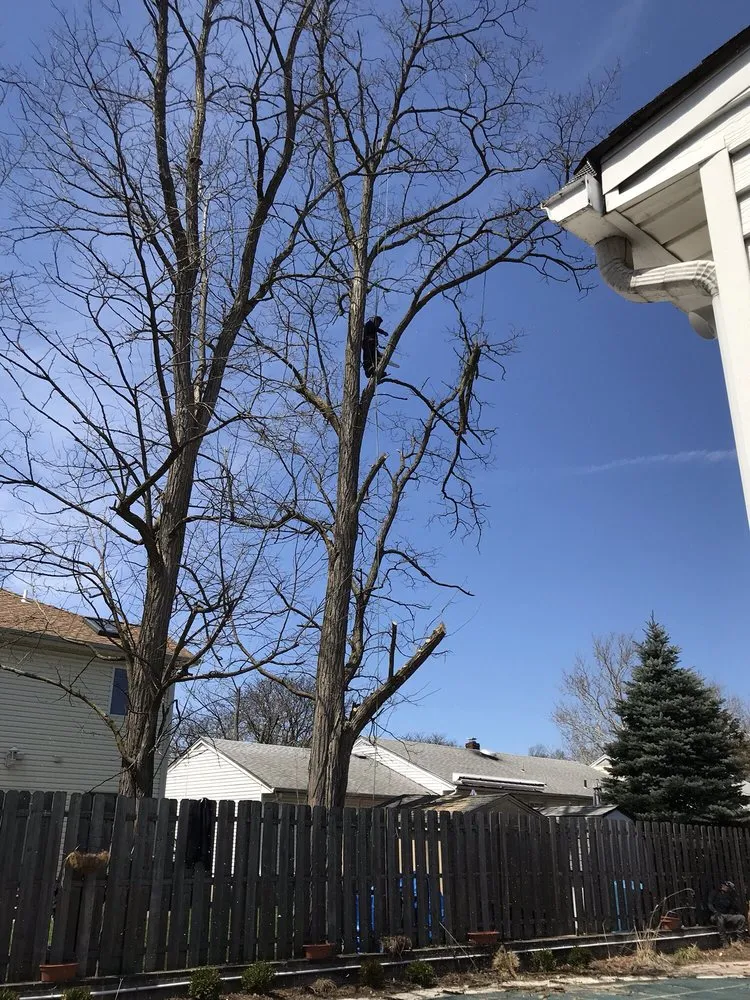 Professional landscape installation with custom design in New Brunswick, NJ by Genie Tree Service