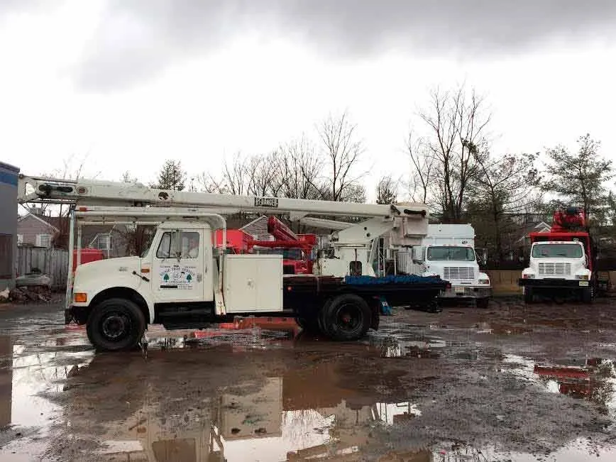 Reliable outdoor landscaping experts serving New Brunswick, NJ - Genie Tree Service