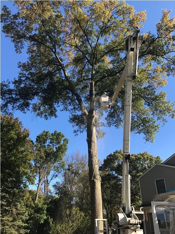 Professional outdoor landscaping for residential properties across New Brunswick, NJ - Genie Tree Service