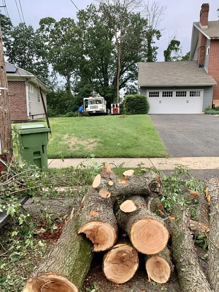 Expert lawn care service experts serving New Brunswick, NJ - Genie Tree Service