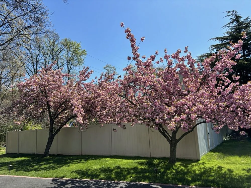 Reliable garden landscaping for year-round maintenance in New Brunswick, NJ by Genie Tree Service