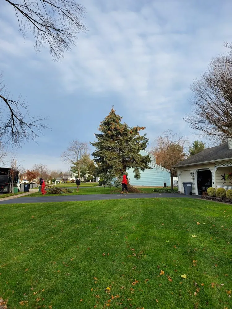 Custom landscape design in New Brunswick, NJ - Genie Tree Service