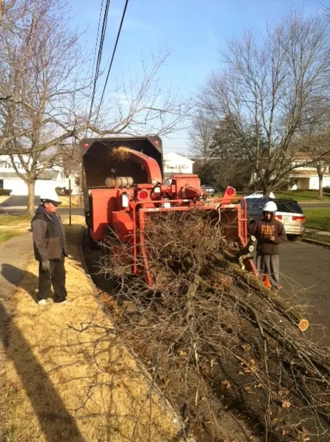 Reliable residential landscaping in New Brunswick, NJ - Genie Tree Service