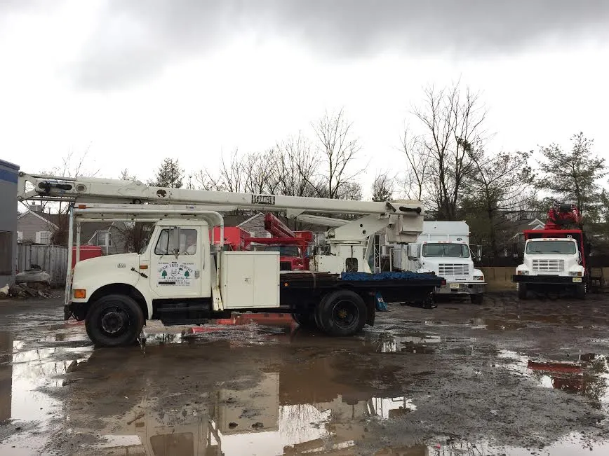 Local landscaping services for residential properties across New Brunswick, NJ - Genie Tree Service