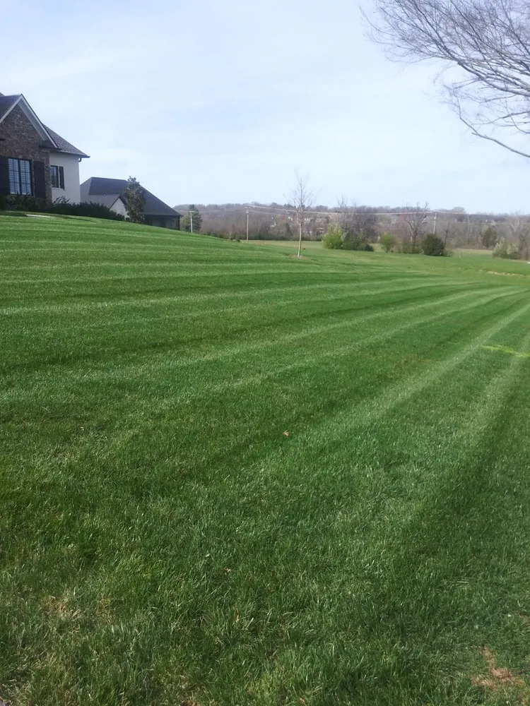 Top-rated outdoor landscaping with custom design in Knoxville, TN by Genius Lawns