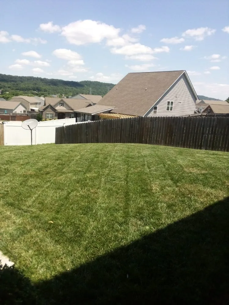 Local garden landscaping with custom design across Knoxville, TN - Genius Lawns