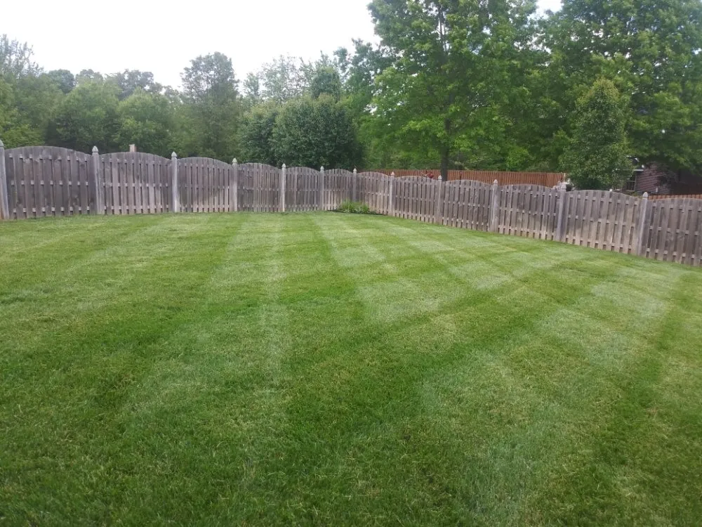 Reliable landscape design in Knoxville, TN by Genius Lawns