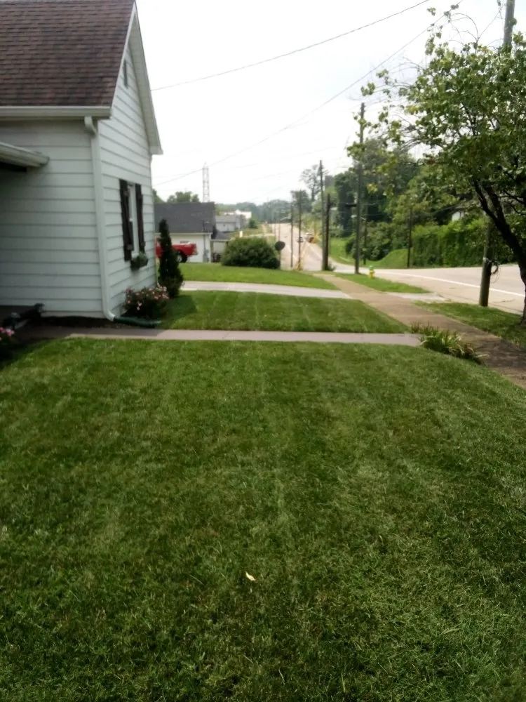 Professional lawn care service in Knoxville, TN - Genius Lawns