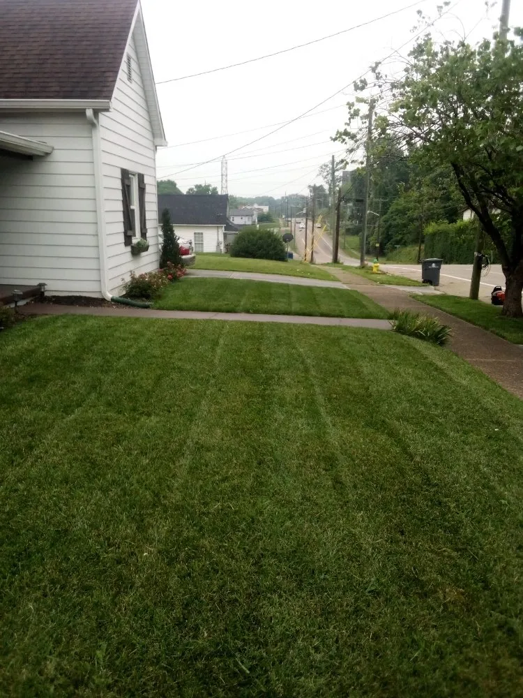 Affordable landscaping services experts serving Knoxville, TN - Genius Lawns
