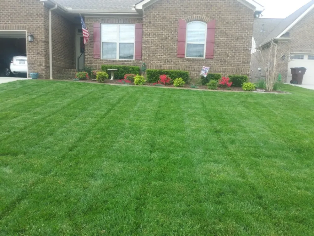 Local yard maintenance with custom design across Knoxville, TN - Genius Lawns