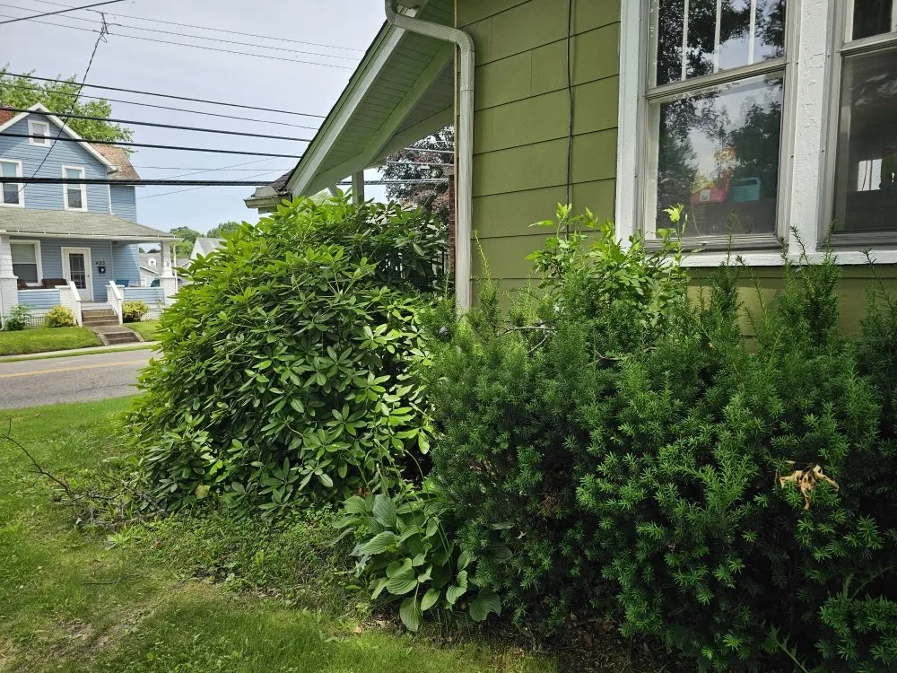 Expert residential landscaping for homes in Canton, OH by Genos Home Services