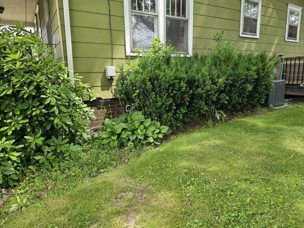 Affordable landscape installation for residential properties in Canton, OH by Genos Home Services