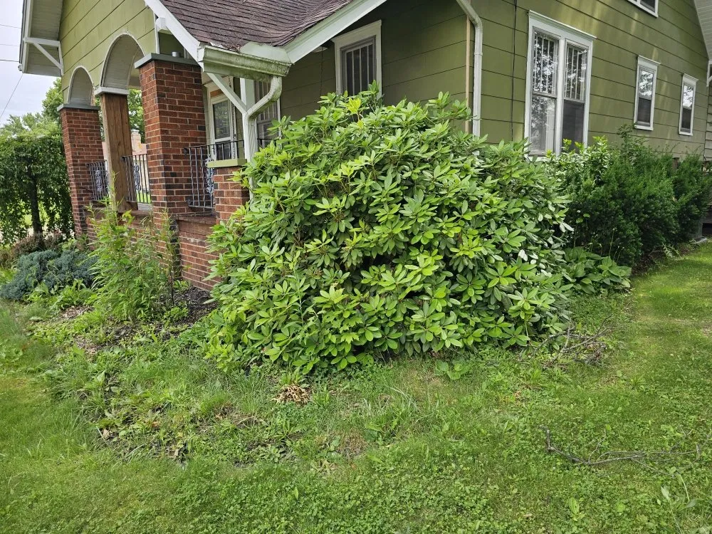 Trusted landscaping services in Canton, OH by Genos Home Services