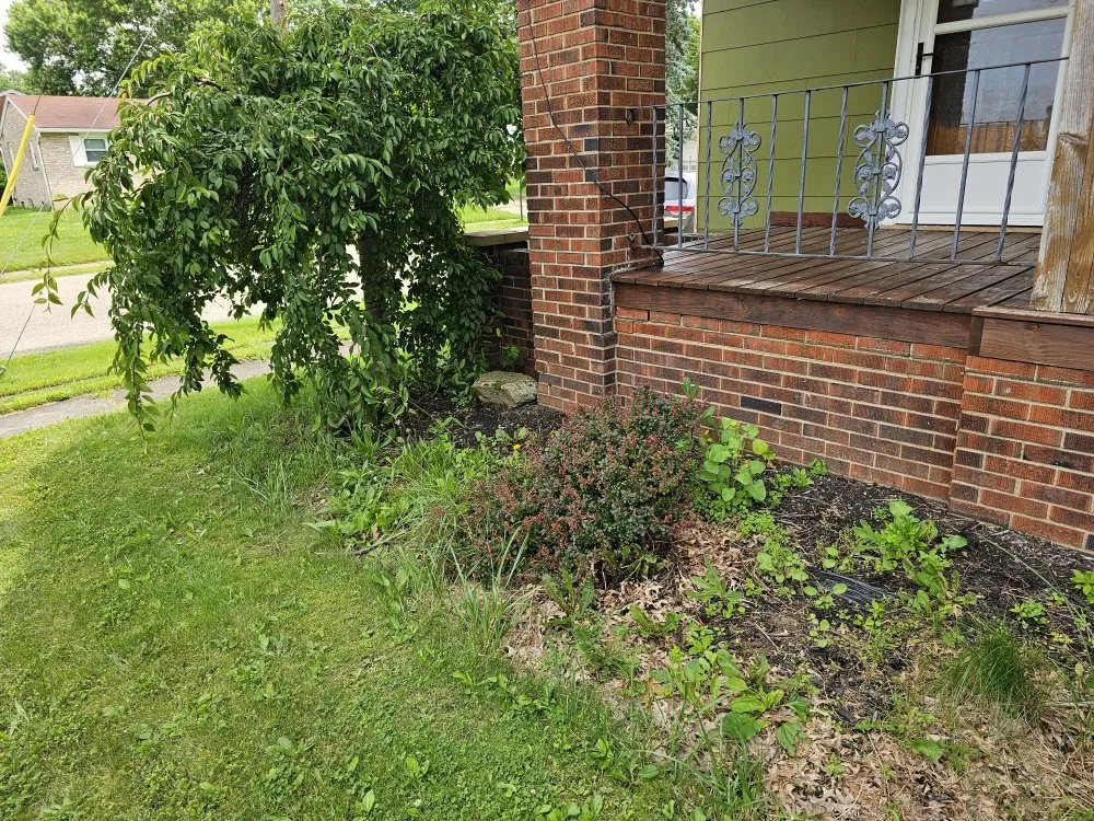 Top-rated lawn mowing service in Canton, OH by Genos Home Services