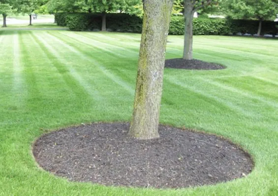 Geno’s Landscaping