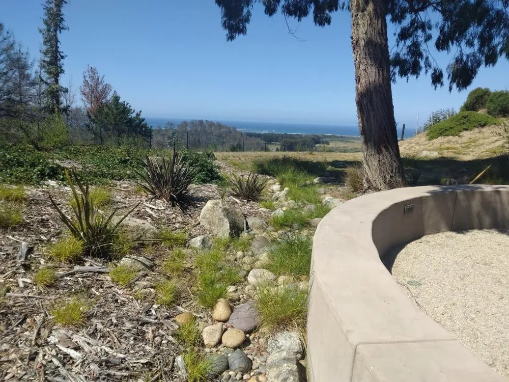 Custom yard maintenance for outdoor upgrades across Scotts Valley, CA - Geno’s Landscaping