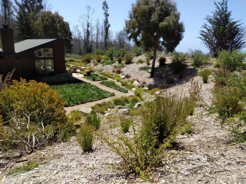 Professional yard cleanup service experts serving Scotts Valley, CA - Geno’s Landscaping